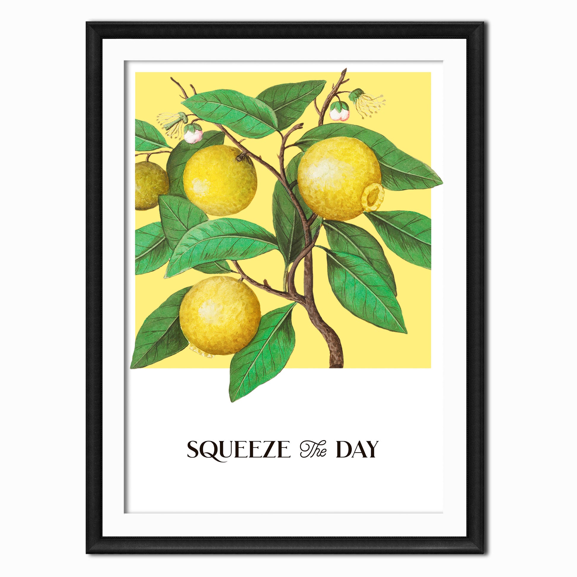 an art print of a lemon tree with a motivational quote that says Squeeze the Day
